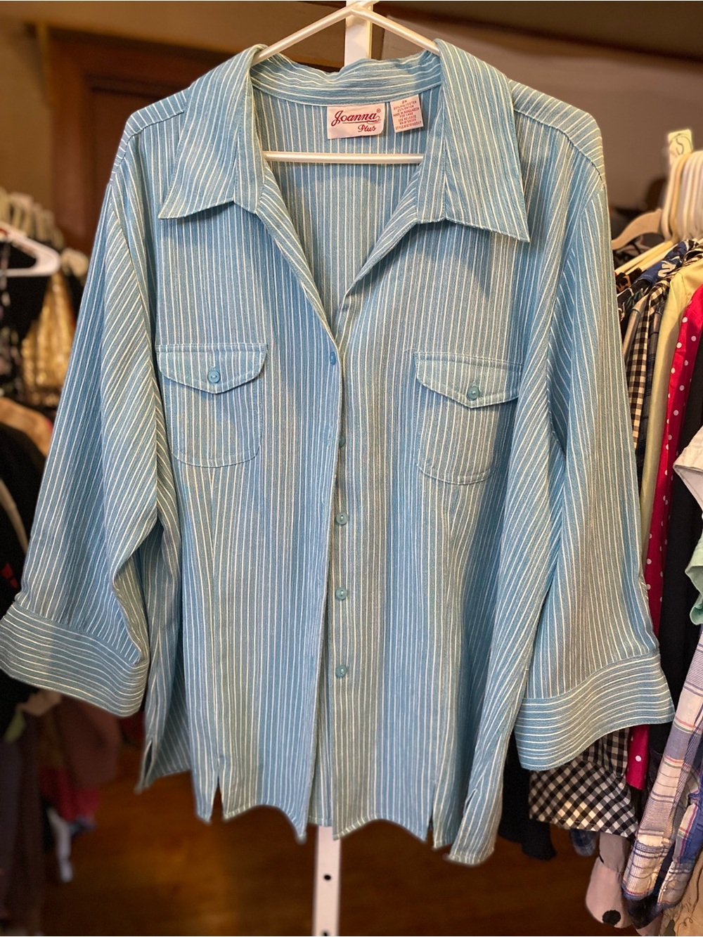 Joanna Blue Stripe Button-Front Shirt
